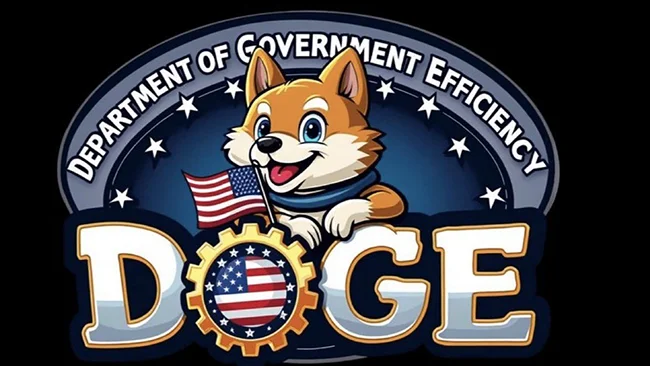 Department of Government Efficiency