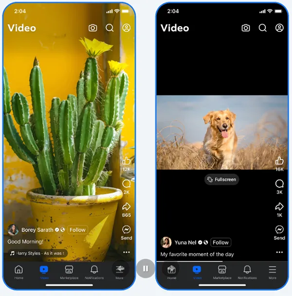 Facebook Reels and Video