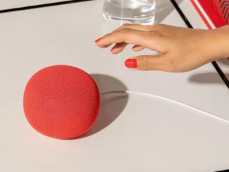 Google-Home-Speaker-Berry