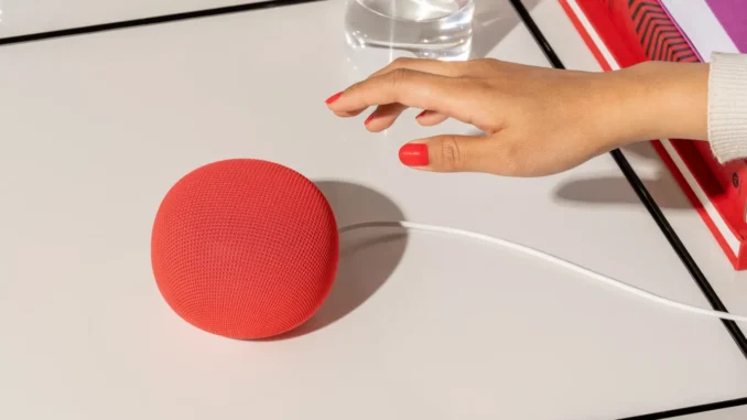 Google-Home-Speaker-Berry