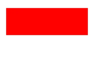 Indonesia Flag