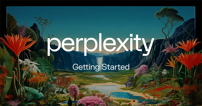 Perplexity Getting Started