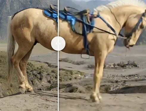 Sharp Monocular View