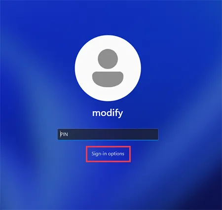 Sign-in options Windows 11