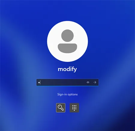 เข้าสู่ระบบแบบ PIN และ Password Windows 11