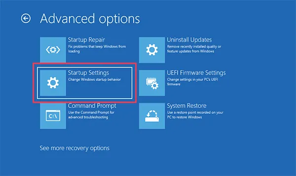 Startup settings Advanced options