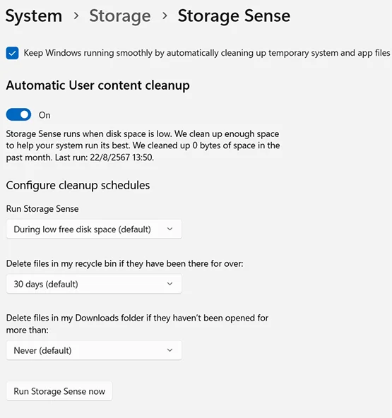 Storage Sense Setting