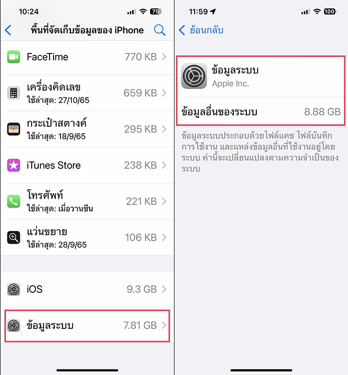 System Data (ข้อมูลระบบ) iPhone