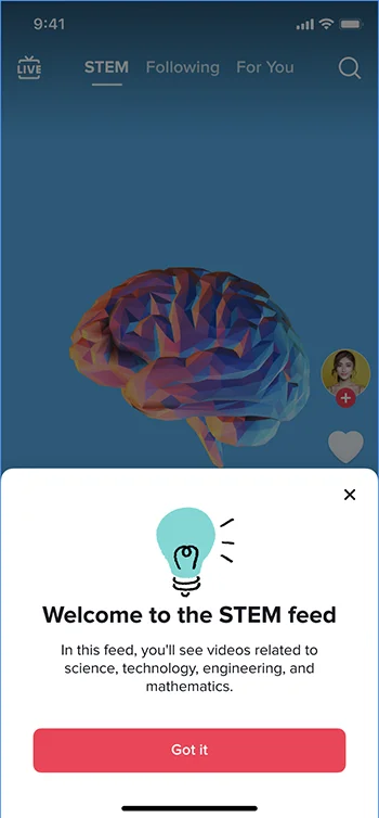 TikTok STEM feed