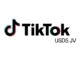 TikTok USDS JV