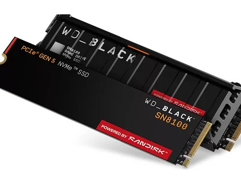WD Black SN8100 WD Black SN8100
