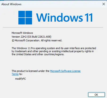 Windows 11 22H2 OS Build 22621.608