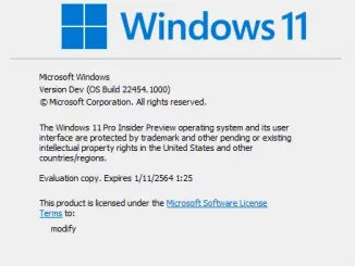 Windows 11 Insider Preview 22454.1000 Dev Channel