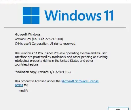 Windows 11 Insider Preview 22454.1000 Dev Channel