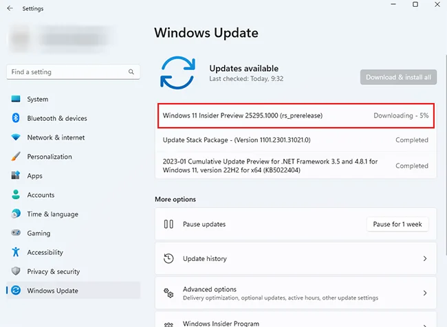 Windows 11 Insider Preview 25295.1000