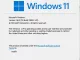 Windows 11 Insider Preview Build 22000.132