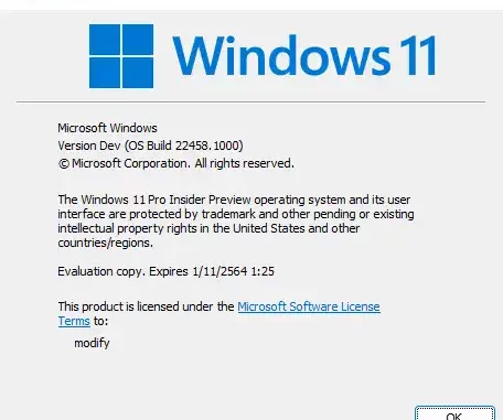 Windows 11 Insider Preview Build 22458 Dev Channel
