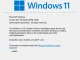 Windows 11 Insider Preview Build 22458 Dev Channel