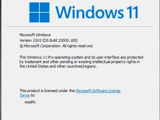Windows 11 Insider Preview Dev Build 22000.100