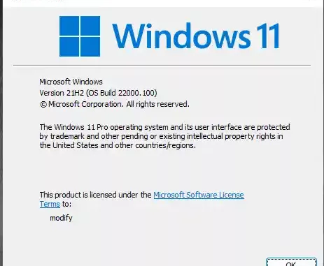 Windows 11 Insider Preview Dev Build 22000.100