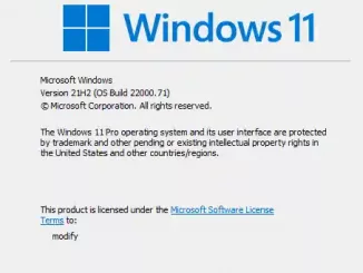Windows 11 Insider Preview Dev Channel Build 22000.71