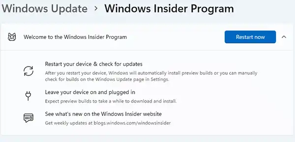 Windows 11 Insider Program Restart