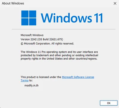Windows 11 Update KB5019509 22H2 Build 22621.675