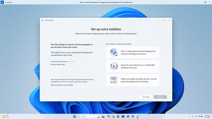 Windows 11 Voice Isolation