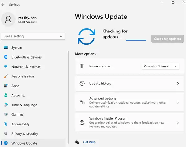 Windows 11 Winodws Update