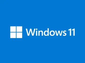 Windows 11 logo Insider Preview