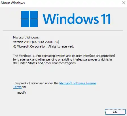 Windows 11 version 22000.65