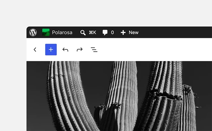 WordPress Admin-bar-now-in-every-editor-scaled