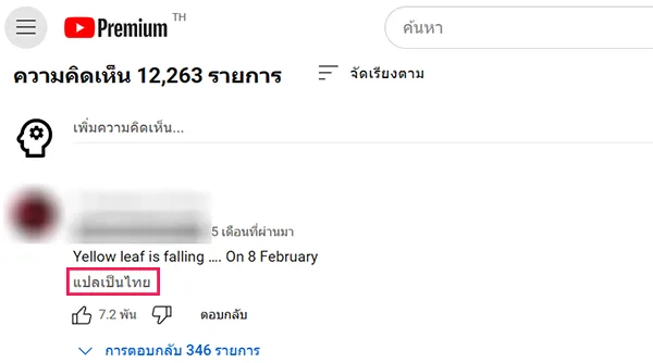 ปุ่มแปลภาษาไทยอังกฤษในคอมเม้นท์ YouTube