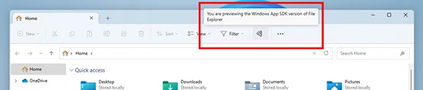 Windows 11 file explorer pizza icon
