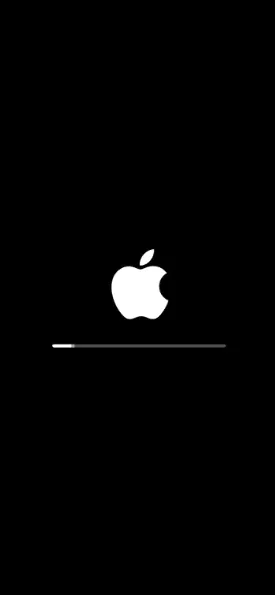 logo Apple whet reset