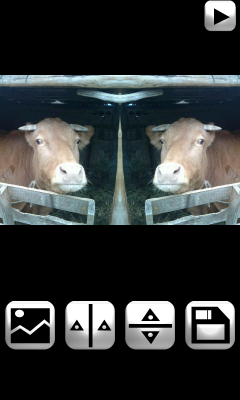 ผลภาพกระจก