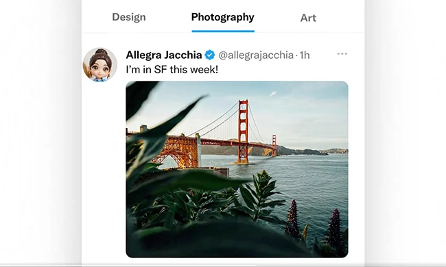 X.com custom timeline